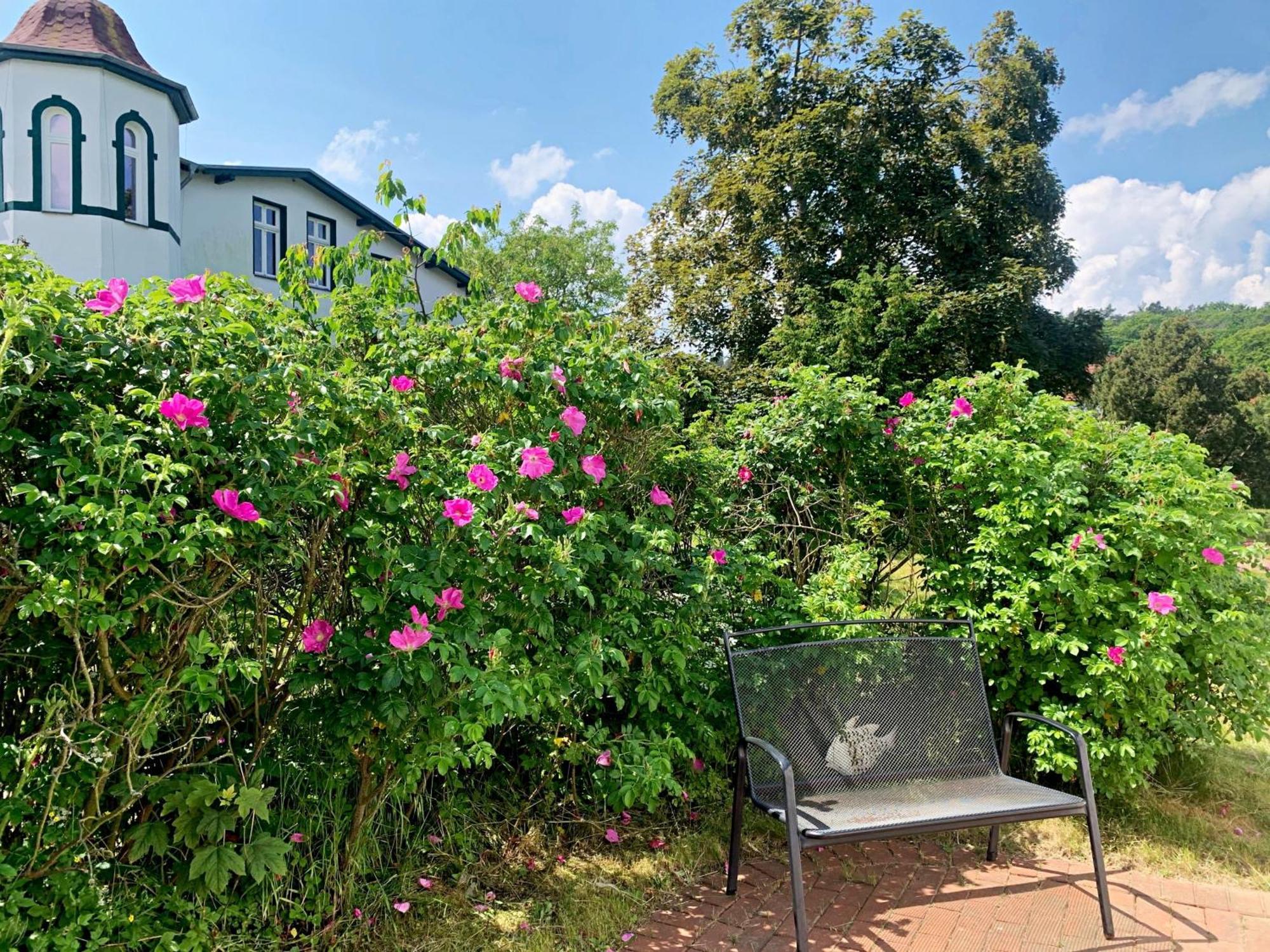 Ferienhaus Erika เฮริงสดอร์ฟ ภายนอก รูปภาพ